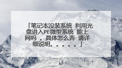 笔记本没装系统 利用光盘进入PE微型系统 能上网吗 。具体怎么弄 请详细说明。。。。。