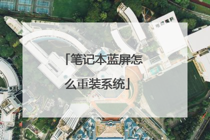 笔记本蓝屏怎么重装系统