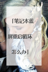 笔记本蓝屏重启循环怎么办