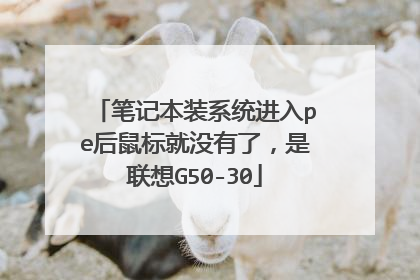 笔记本装系统进入pe后鼠标就没有了,是联想G50-30