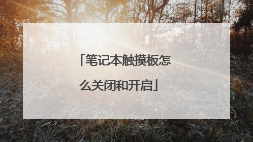 笔记本触摸板怎么关闭和开启