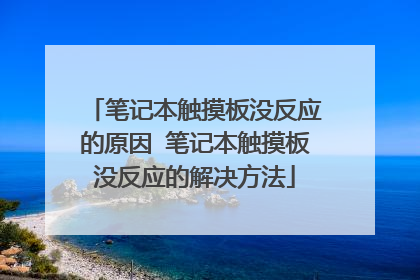 笔记本触摸板没反应的原因 笔记本触摸板没反应的解决方法