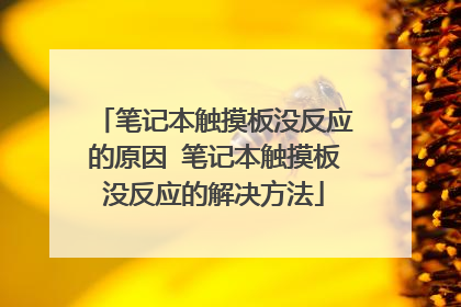 笔记本触摸板没反应的原因 笔记本触摸板没反应的解决方法