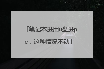 笔记本进用u盘进pe,这种情况不动