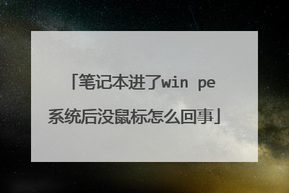 笔记本进了win pe系统后没鼠标怎么回事