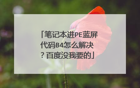 笔记本进PE蓝屏 代码B4怎么解决?百度没我要的