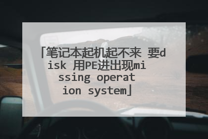 笔记本起机起不来 要disk 用PE进出现missing operation system