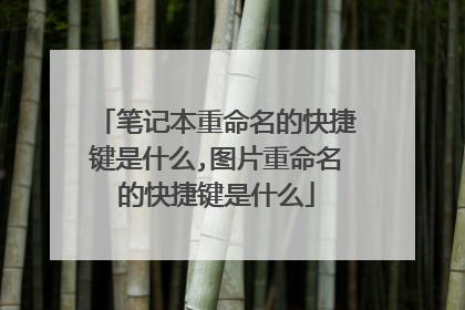 笔记本重命名的快捷键是什么,图片重命名的快捷键是什么