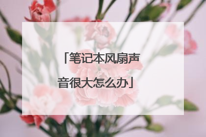 笔记本风扇声音很大怎么办