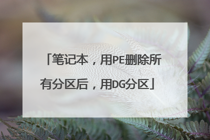 笔记本,用PE删除所有分区后,用DG分区
