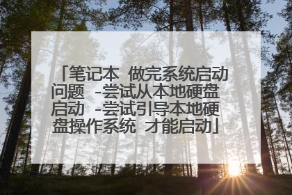 笔记本 做完系统启动问题 -尝试从本地硬盘启动 -尝试引导本地硬盘操作系统 才能启动