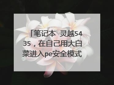 笔记本 灵越5435,在自己用大白菜进入pe安全模式下装win10,总提示系统