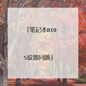 笔记本BIOS设置问题