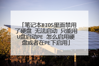 笔记本BIOS里面禁用了硬盘 无法启动 只能用U盘启动PE 怎么启用硬盘或者在PE下启用