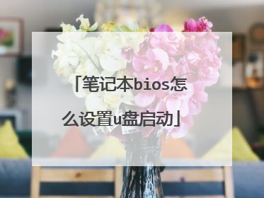 笔记本bios怎么设置u盘启动