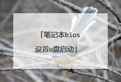 笔记本bios设置u盘启动