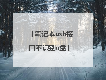 笔记本usb接口不识别u盘