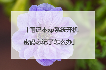 笔记本xp系统开机密码忘记了怎么办