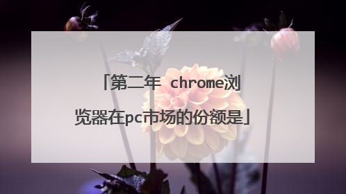 第二年 chrome浏览器在pc市场的份额是