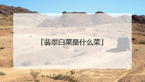 翡翠白菜是什么菜