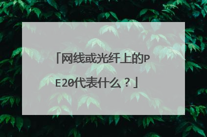 网线或光纤上的PE20代表什么？
