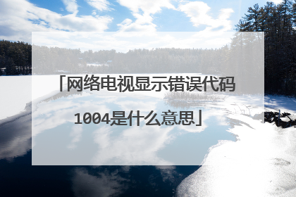 网络电视显示错误代码1004是什么意思