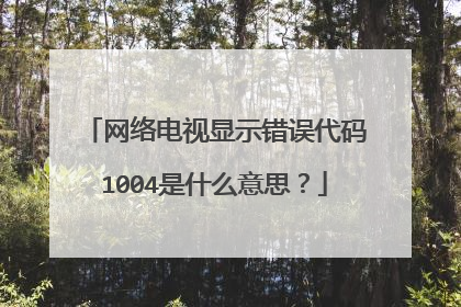 网络电视显示错误代码1004是什么意思?