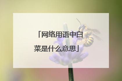 网络用语中白菜是什么意思