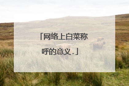 网络上白菜称呼的意义.