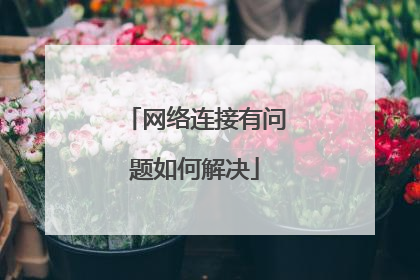网络连接有问题如何解决