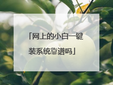网上的小白一键装系统靠谱吗