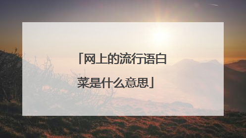 网上的流行语白菜是什么意思