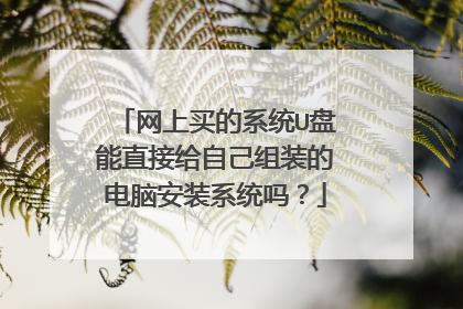 网上买的系统U盘能直接给自己组装的电脑安装系统吗?