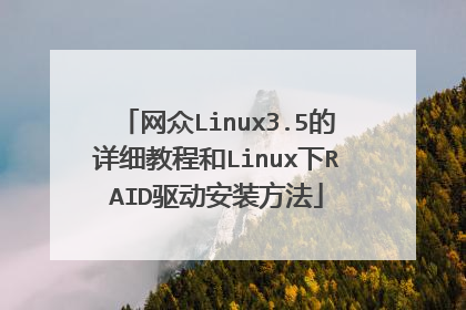 网众Linux3.5的详细教程和Linux下RAID驱动安装方法