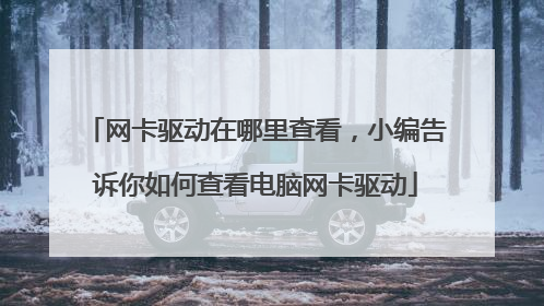 网卡驱动在哪里查看,小编告诉你如何查看电脑网卡驱动