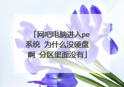 网吧电脑进入pe系统 为什么没硬盘啊 分区里面没有