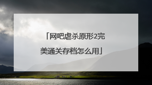 网吧虐杀原形2完美通关存档怎么用
