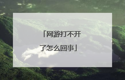 网游打不开了怎么回事