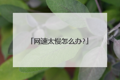 网速太慢怎么办?