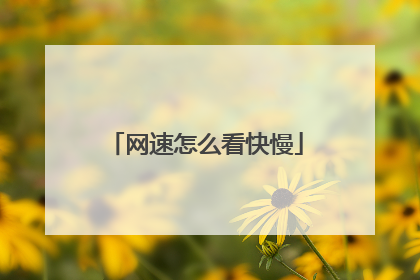 网速怎么看快慢