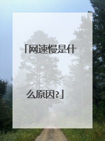 网速慢是什么原因?