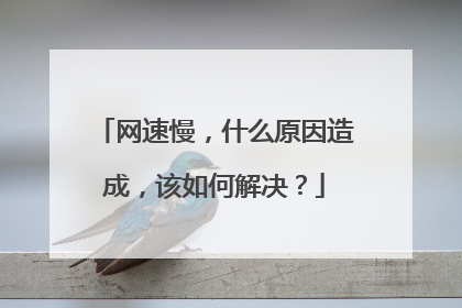 网速慢,什么原因造成,该如何解决?