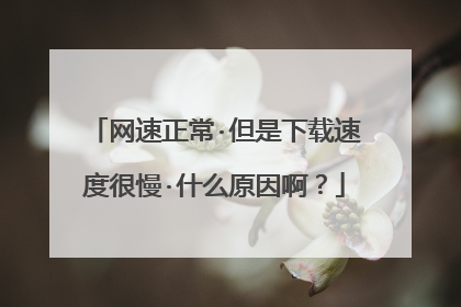 网速正常·但是下载速度很慢·什么原因啊?