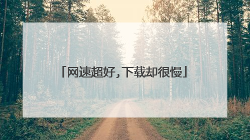 网速超好,下载却很慢