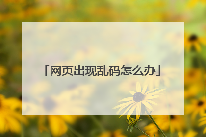 网页出现乱码怎么办