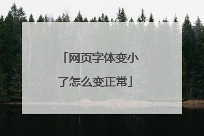 网页字体变小了怎么变正常