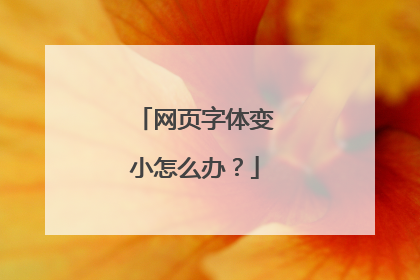 网页字体变小怎么办?