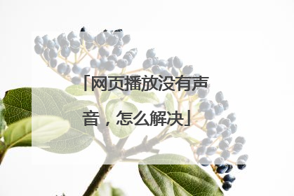 网页播放没有声音,怎么解决