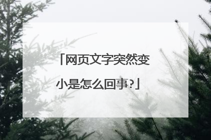 网页文字突然变小是怎么回事?