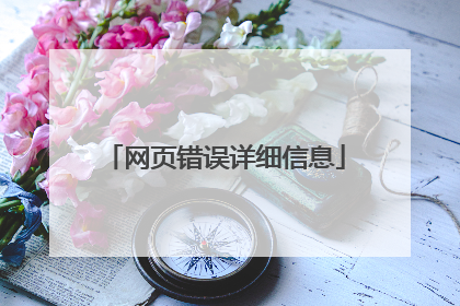 网页错误详细信息